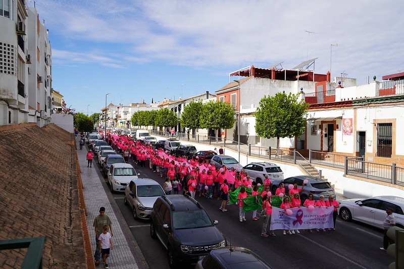 Cancer de Mama 2025 (1)