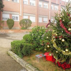 Colegios_Abeto_Navidad 2022 (19)