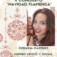 II Concierto de Navidad Flamenca