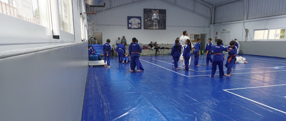 Judo nuevo protector 2024 (2)