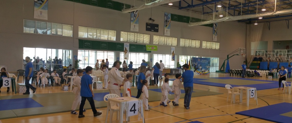 x festival judo 1